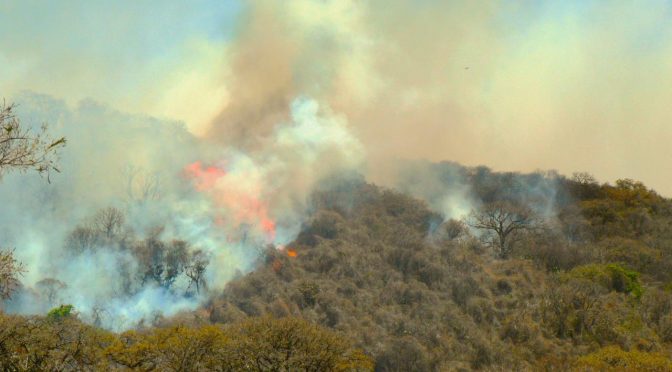 Gem Inician Sobrevuelo De Dron Para Atender Incendio En El Cerro Del