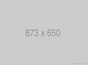 Cultural Festival & Concert at Domanion Valer