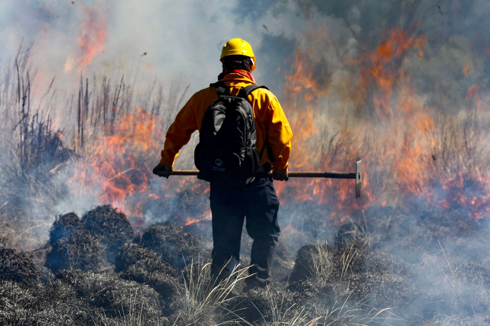 Máster en Técnicas de Lucha contra Incendios Forestales
