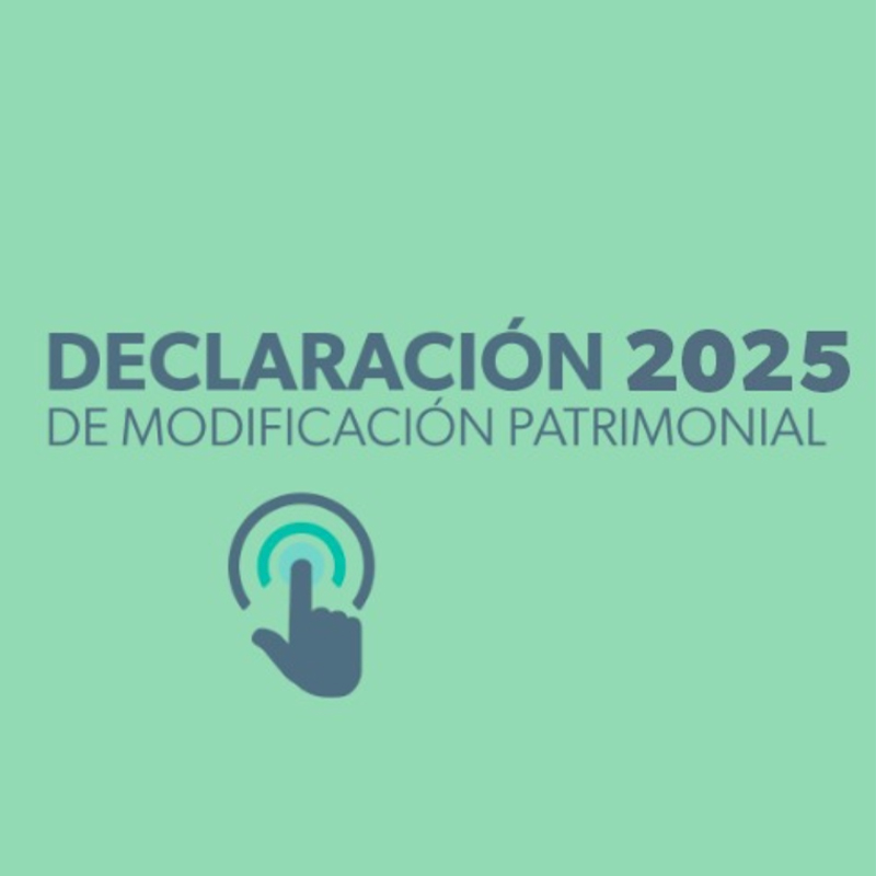 declaracion patrimonial