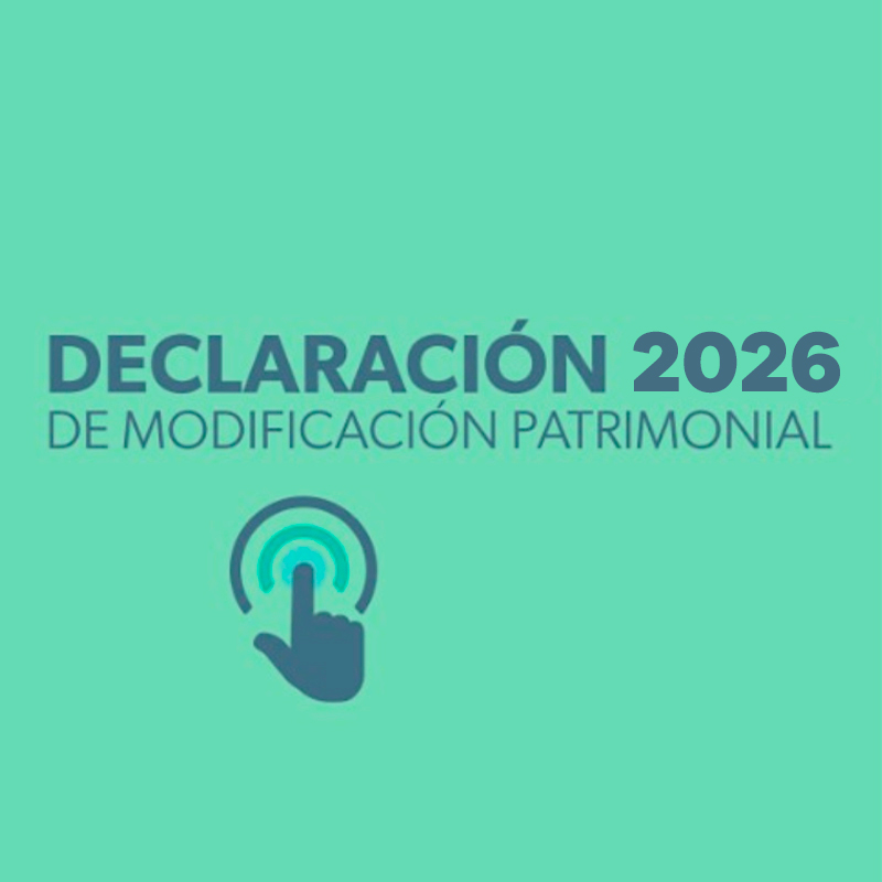 declaracion patrimonial